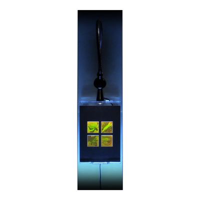 3D Nature 4-up 2-Channel Hologram Picture (Lighted Wall Display), Collectible Photopolymer Film