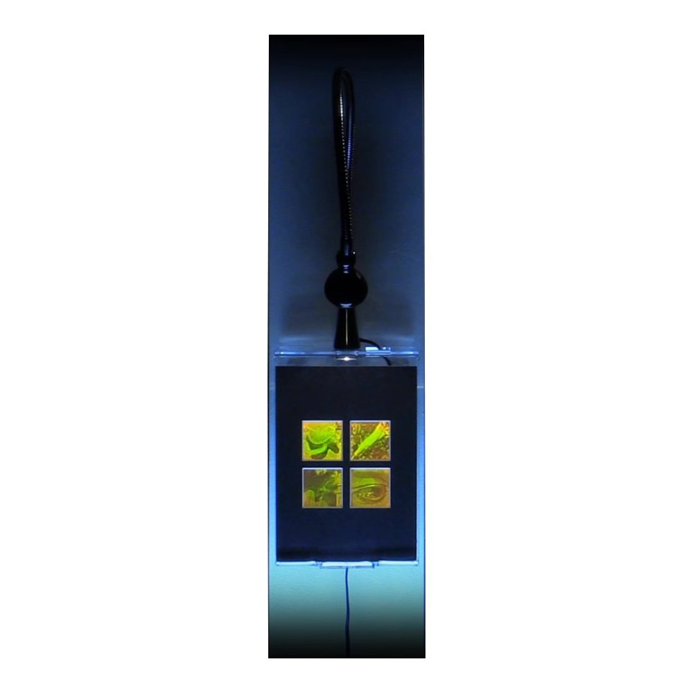 3D Nature 4-up 2-Channel Hologram Picture (Lighted Wall Display), Collectible Photopolymer Film