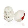 Parco Scientific PB00018, Human Skull Model with Markings, Life Size view 2
