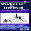 Studies in: The Stonewall - 2 DVDs - Chess Lecture - Volume 143 view 3