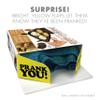 Prank Pack, Wake & Bake Prank Gift Box, Wrap Your Real Present in a Funny Authentic Prank-O Gag Present Box | Novelty Gifting Box for Pranksters view 2