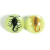 1.5" Scorpion Magnets 2 pc Set view 1