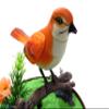 Az Import & Trading BC507B Singing & Chirping Bird in Cage - Realistic Sounds & Movements Red by AZ Import view 2