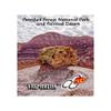ViewMaster Classic 3Reel Petrified Forest view 1