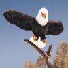 Folkmanis Eagle Hand Puppet view 4