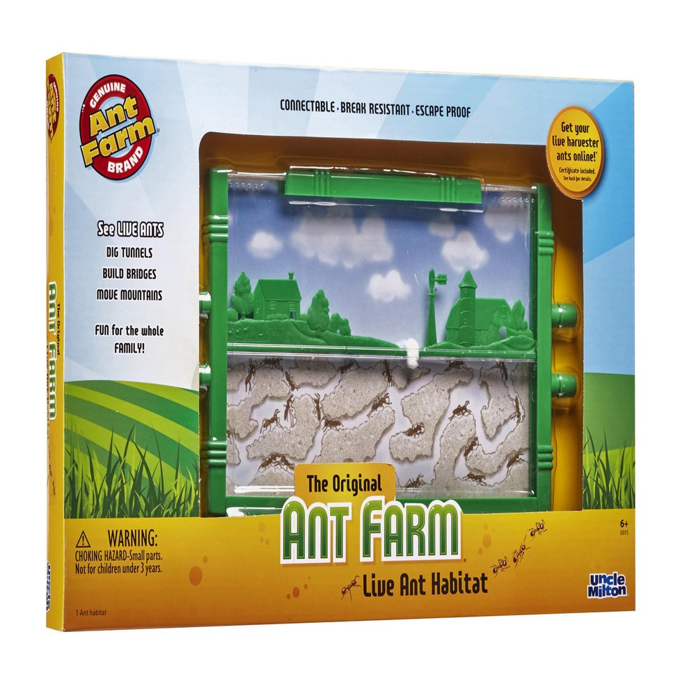 Ant Farm
