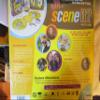 Scene It Jr. DVD Movie Trivia Game view 3