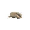 Ostheimer Badger - Head Down view 1