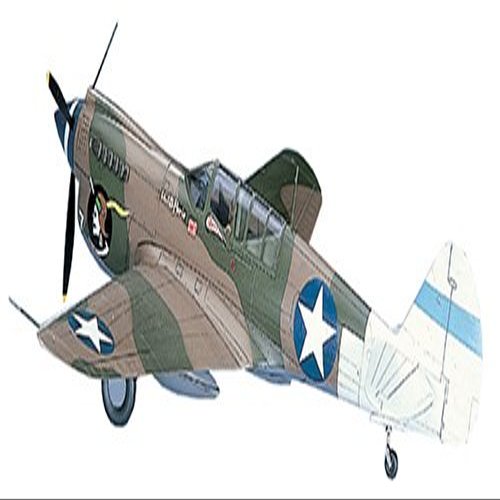 1/72 P-40N Warhawk # A9