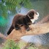 Folkmanis River Otter Hand Puppet, Brown, 1 EA view 4