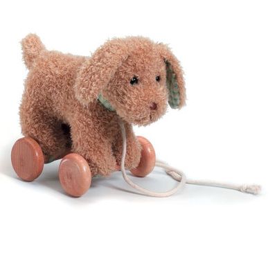 Rainbow Designs Pull Along Dog (GN02103)