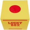 Lottery Box (Big Size) view 2