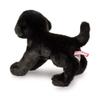 Douglas Brewster Black Lab Dog Plush Stuffed Animal view 4