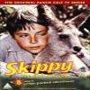 FABULOUS FILMS Skippy The Bush Kangaroo - Vol.4 [DVD] view 1