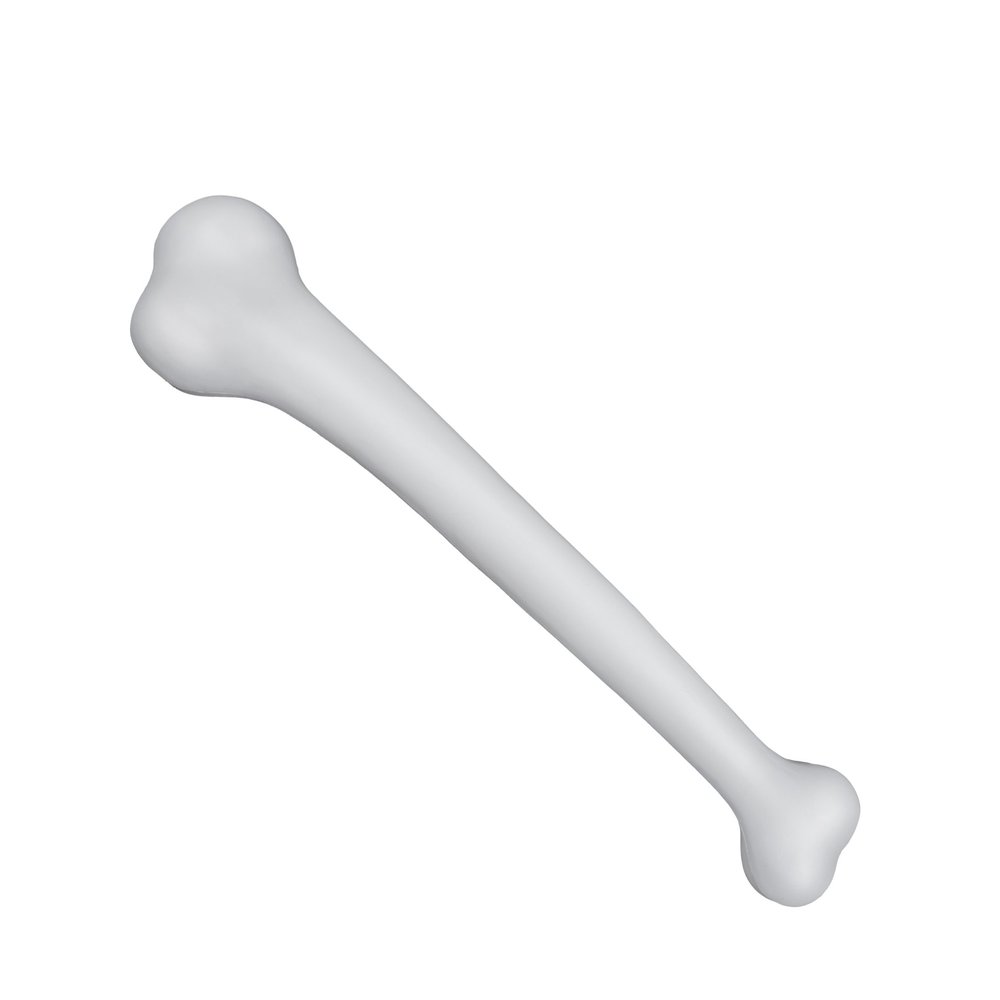 Empire Magic Loftus Ancient Caveman Jumbo Plastic Skeleton Bone Costume Prop, White, 15"