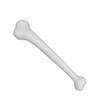 Empire Magic Loftus Ancient Caveman Jumbo Plastic Skeleton Bone Costume Prop, White, 15" view 1