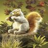 Folkmanis Gray Squirrel Hand Puppet, 1 EA view 4