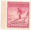 1932 U.S. 2 Cents Third Olympic Winter Games #716 stamp view 1