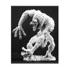 Reaper Moor Troll view 1