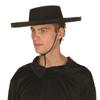 RG Costumes Felt Bandit Hat view 1