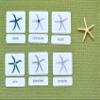 Parts of The Starfish 3-Part Photo Cards view 3
