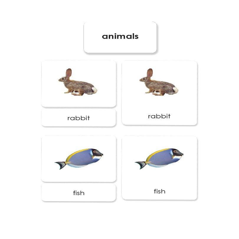 Animal Kingdom 3-Part Reading Cards