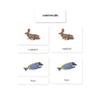 Animal Kingdom 3-Part Reading Cards view 1