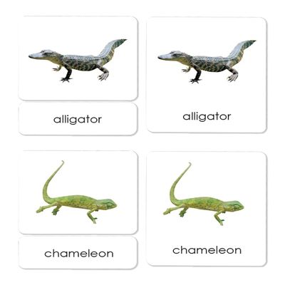 Reptiles 3-Part Reading Cards