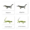 Reptiles 3-Part Reading Cards view 1