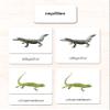 Reptiles 3-Part Reading Cards view 2