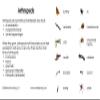 Arthropods 3-Part Reading Cards view 3