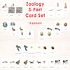 Zoology 3-Part Reading Card Complete Set (18 Packets) view 1