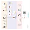 Zoology 3-Part Reading Card Complete Set (18 Packets) view 2