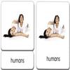 Zoology 3-Part Reading Card Complete Set (18 Packets) view 3