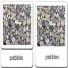 Zoology 3-Part Reading Card Complete Set (18 Packets) view 4