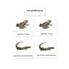 Amphibians 3-Part Reading Cards view 1