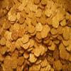 Lot of 1000 - Indiana Jones Kingdom of The Crystal Skull Doubloons view 1
