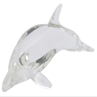 essixenbahha a-toobuoputexikusu Dolphin (Dolphin) 14601