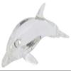 essixenbahha a-toobuoputexikusu Dolphin (Dolphin) 14601 view 1