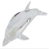 essixenbahha a-toobuoputexikusu Dolphin (Dolphin) 14601 view 2