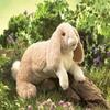 Folkmanis Floppy Bunny Rabbit Hand Puppet, Tan, White, 1 EA view 2