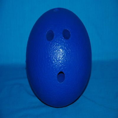 Everrich Foam Bowling Ball