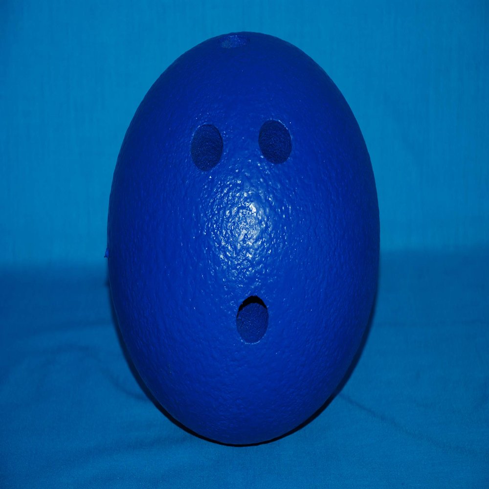 Everrich Foam Bowling Ball