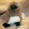 Animal Planet Penguin Chick - 9" Plush Emperor Penguin Chick view 1
