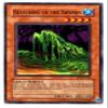 2004 Tournament Series 5 - TP5-EN014 Beastking of the Swamps view 1