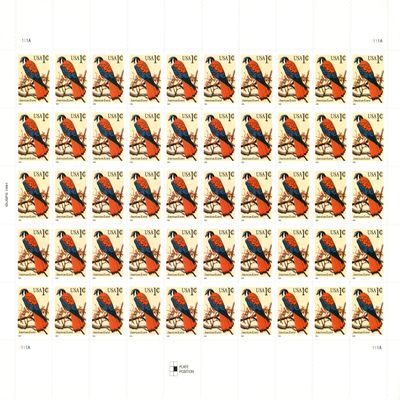 1999 AMERICAN KESTREL ~ SPARROW HAWK ~ RAPTOR #3031 Pane of 50 x 1 cent US Postage Stamps by USPS