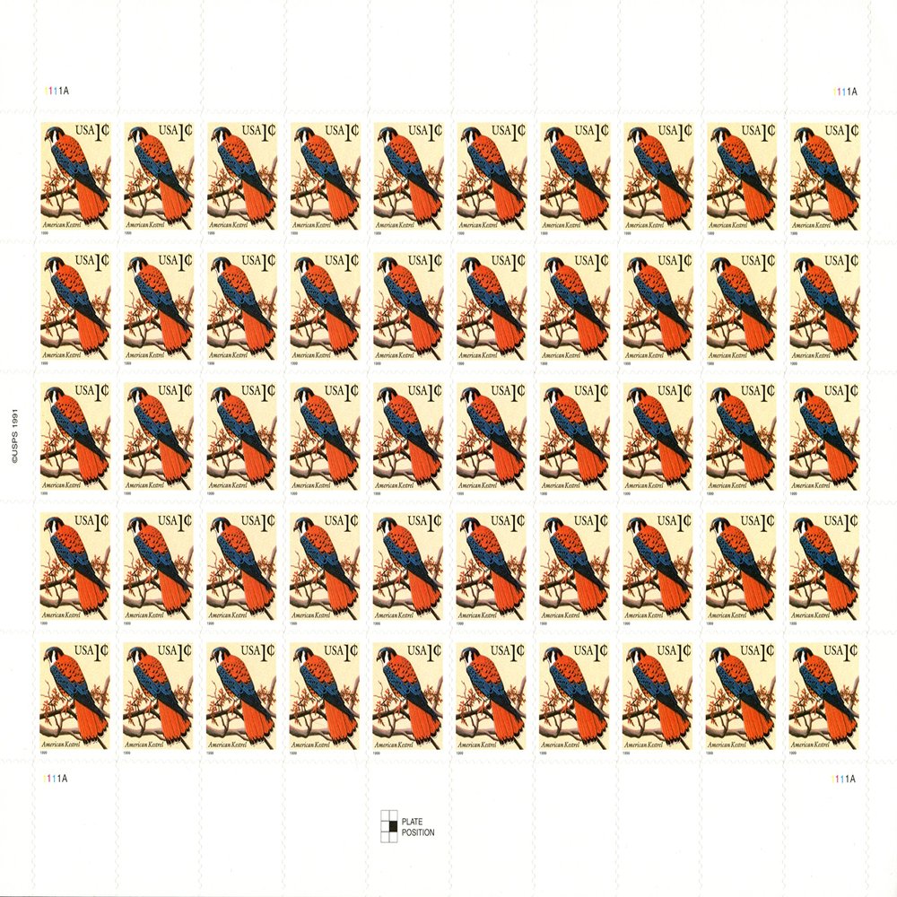 1999 AMERICAN KESTREL ~ SPARROW HAWK ~ RAPTOR #3031 Pane of 50 x 1 cent US Postage Stamps by USPS