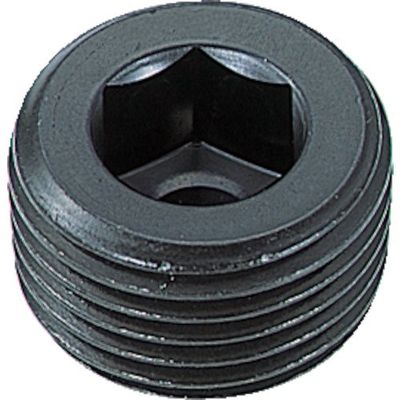 TRUSCO Hexagon Socket Set Screws B830001
