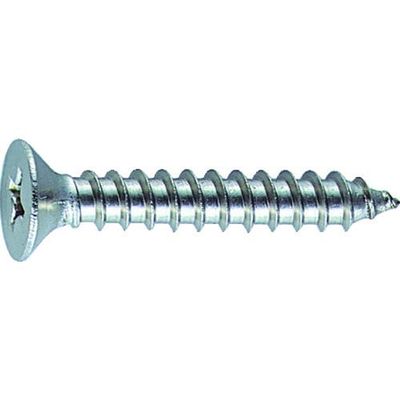 TRUSCO Stainless Steel Flat Head Tapping Screw B10-0306