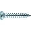 TRUSCO Stainless Steel Flat Head Tapping Screw B10-0306 view 1